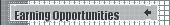 Earning Opportunities